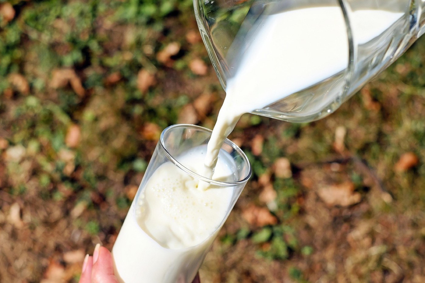 Thermomix ou Cookeo : lequel choisir pour cuisiner vite